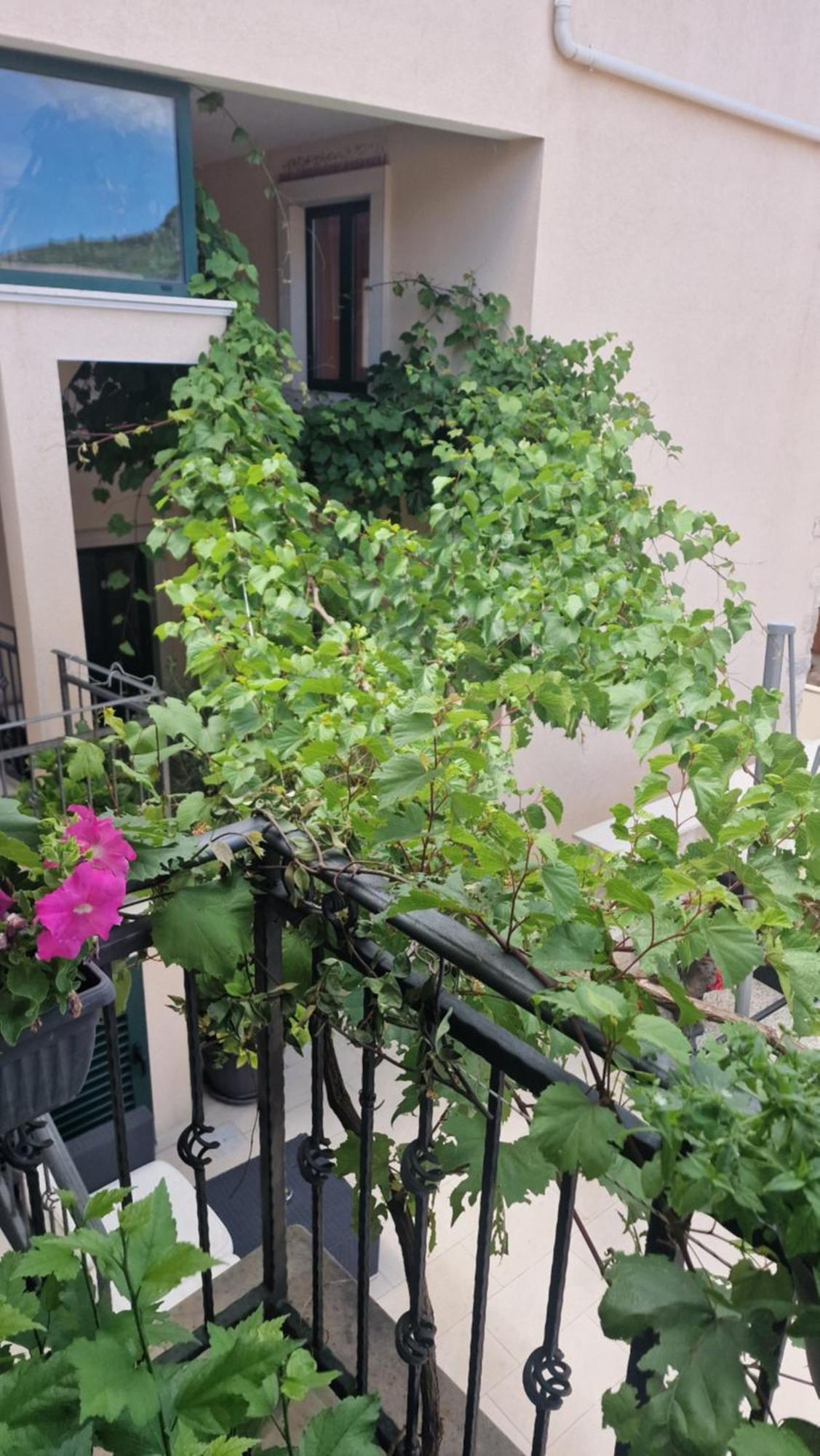 Apartments Ante 2 هفار المظهر الخارجي الصورة